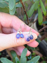 Load image into Gallery viewer, Tanzanite Earrings