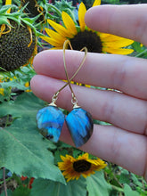 Load image into Gallery viewer, Labradorite Drop Earrings
