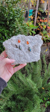 Load image into Gallery viewer, Carnelian & Labradorite Drop Dangle Earrings