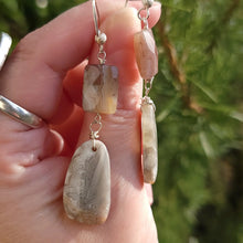 Load image into Gallery viewer, Botswana Agates Drop Dangle Earrings