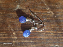 Load image into Gallery viewer, Tanzanite Earrings (Silver/Steel)
