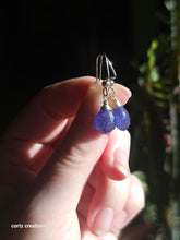 Load image into Gallery viewer, Tanzanite Earrings (Silver/Steel)
