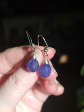 Load image into Gallery viewer, Tanzanite Earrings (Silver/Steel)
