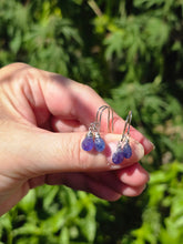 Load image into Gallery viewer, Tanzanite Earrings

