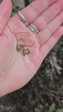 Load and play video in Gallery viewer, Labradorite Drop Earrings
