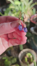Load and play video in Gallery viewer, Tanzanite Earings (Gold)
