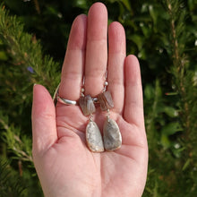 Load image into Gallery viewer, Botswana Agates Drop Dangle Earrings
